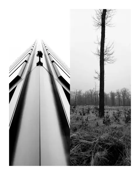 A 4:5 slide with two black-and-white photographs side by side on a white margin: the bow of a boat and a bare tree
