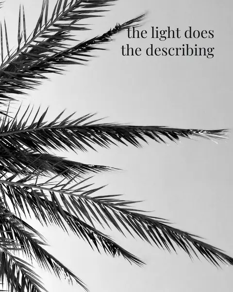 Palm fronds against a pale sky, with “the light does the describing” set right-aligned in the bright corner