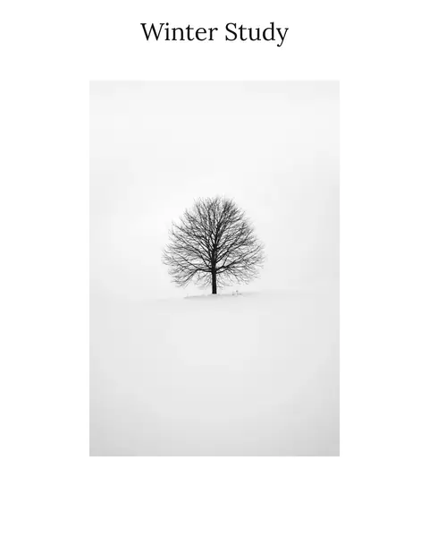 A bare tree in snow, uncropped on white, with “Winter Study” set in serif type in the border above it