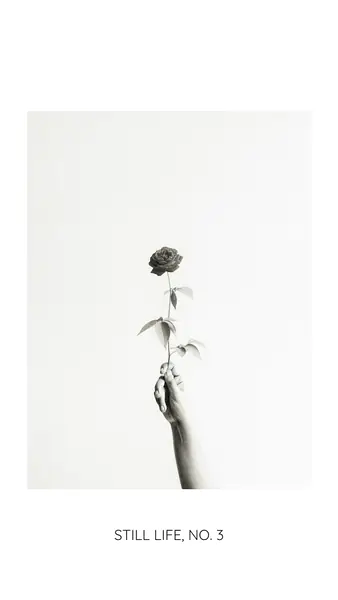 A hand holding a single rose, uncropped inside a 9:16 story on white, titled “Still life, no. 3” in the border below